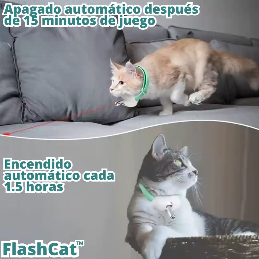 FlashCat™: Diversión al instante para tu gato