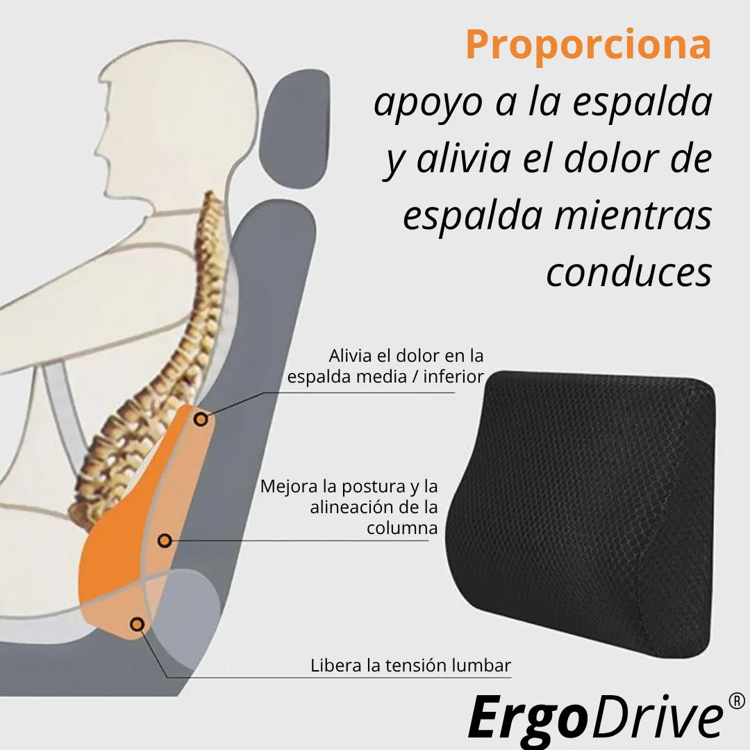 ErgoDrive®: Bienestar en cada trayecto