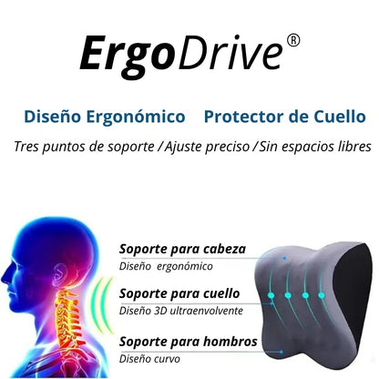 ErgoDrive®: Bienestar en cada trayecto