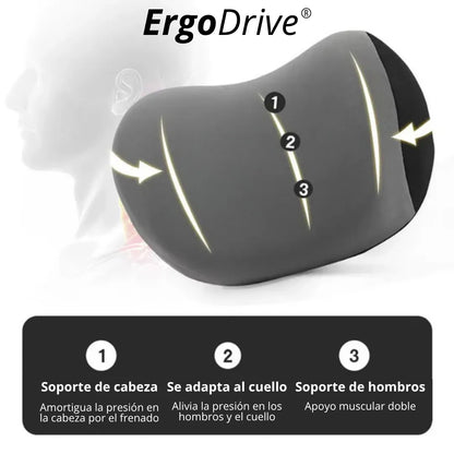 ErgoDrive®: Bienestar en cada trayecto