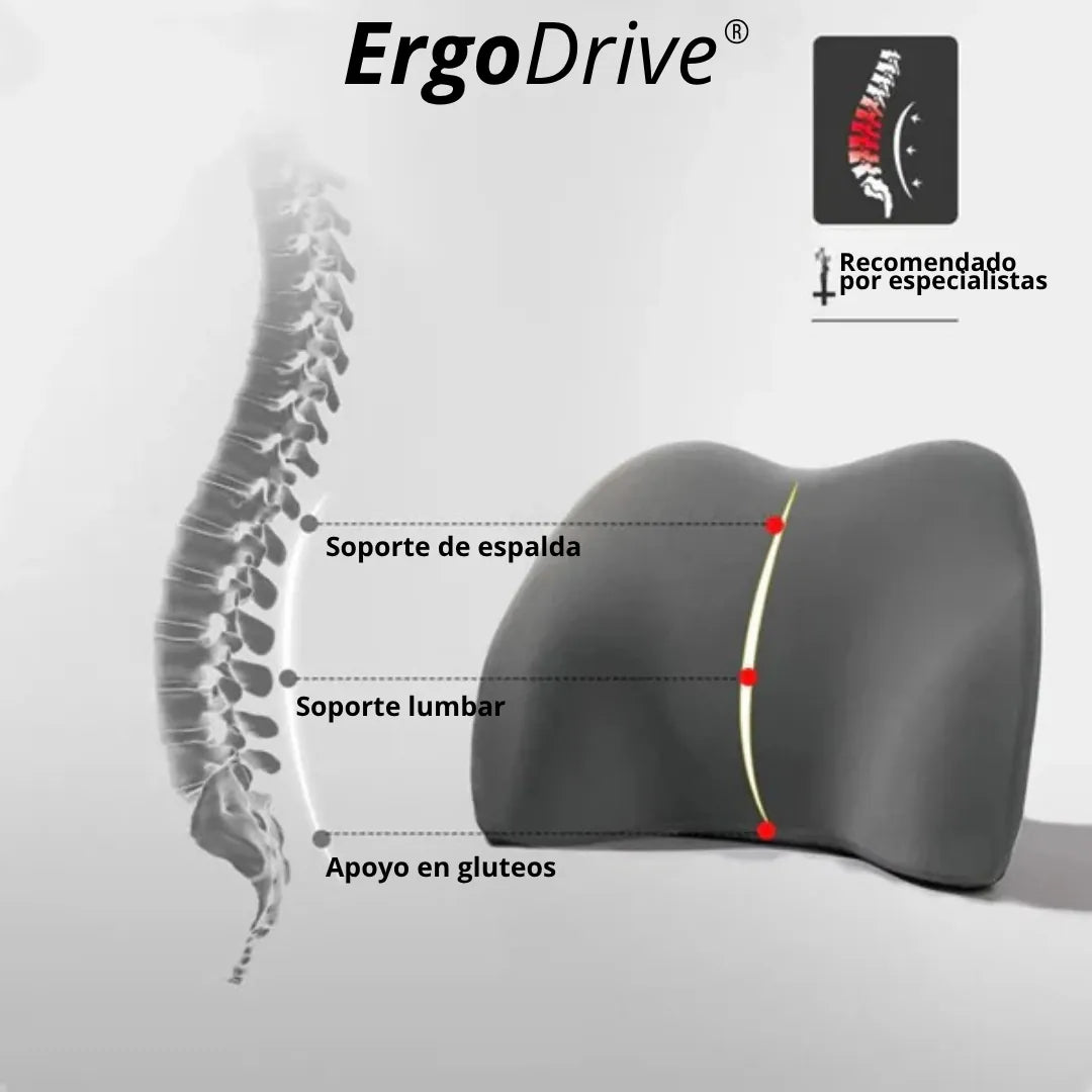 ErgoDrive®: Bienestar en cada trayecto