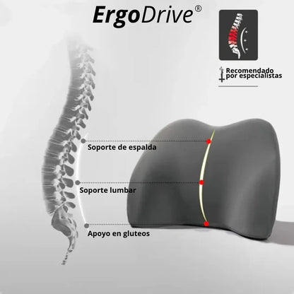 ErgoDrive®: Bienestar en cada trayecto