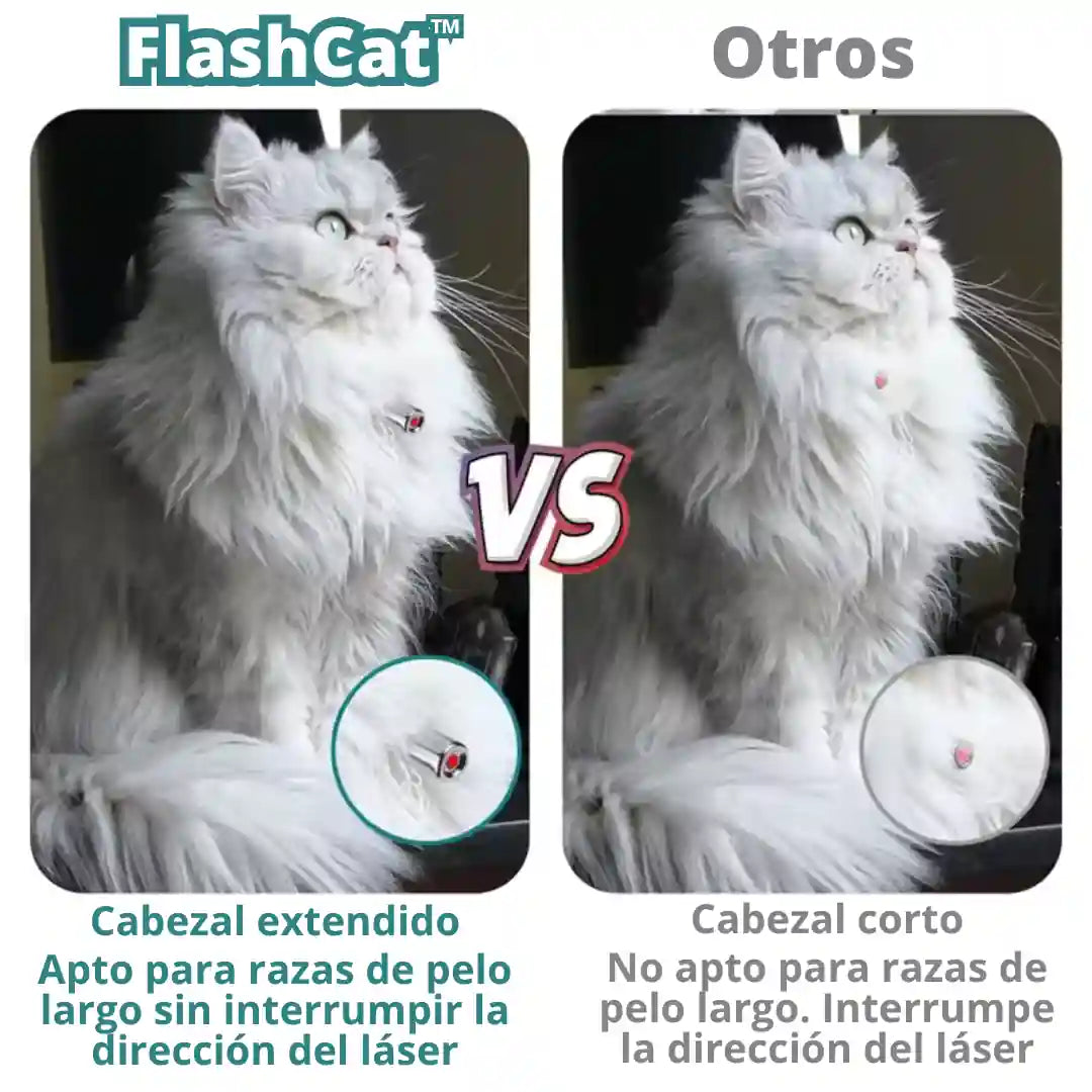 FlashCat™: Diversión al instante para tu gato