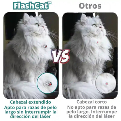 FlashCat™: Diversión al instante para tu gato