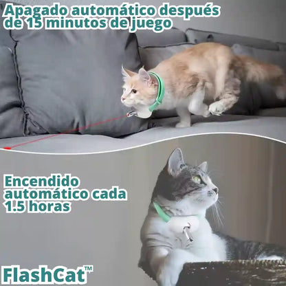 FlashCat™: Diversión al instante para tu gato