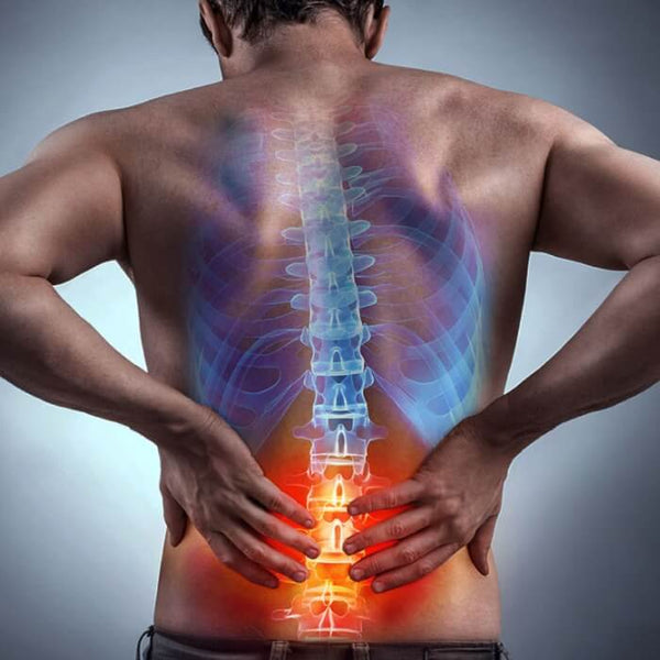 Soporte Lumbar Confort