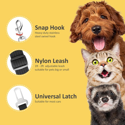 SafetyPaw™: Seguridad y tranquilidad para tu mejor amigo