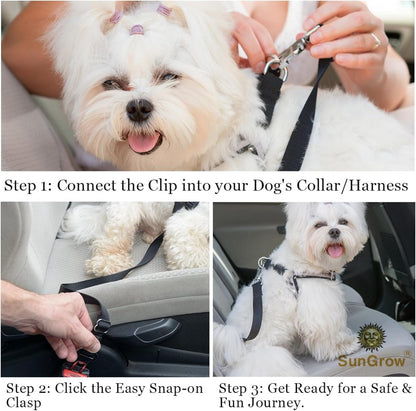 SafetyPaw™: Seguridad y tranquilidad para tu mejor amigo