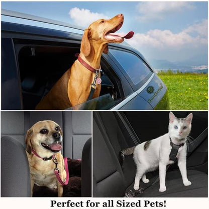 SafetyPaw™: Seguridad y tranquilidad para tu mejor amigo