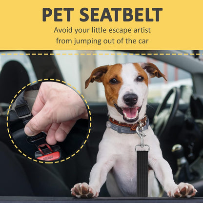 SafetyPaw™: Seguridad y tranquilidad para tu mejor amigo